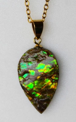 Ammolite Multicolore de 15,90 ct - Pendentif + Chaîne Acier Inoxydable Doré - Photo 1/4