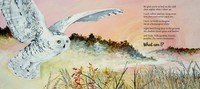 So Imagine Me | Nature Riddles In Poetry | Lynn Davies | Englisch | Taschenbuch