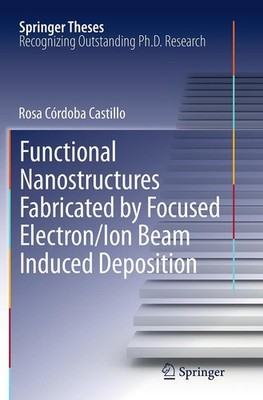 Functional Nanostructures Fabricated by Focused Electron/Ion Beam Induced Deposi