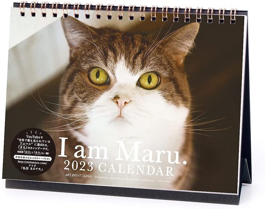 cat-desk-top-calendar-2023-i-am-maru-14-x-18cm-ebay