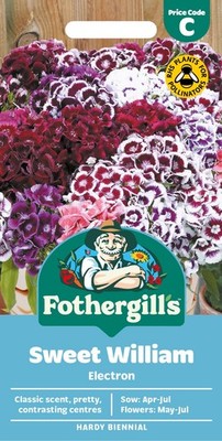 Fothergill's Sweet William Electron Blumensamen, 200 Aussaat: rot/rosa 