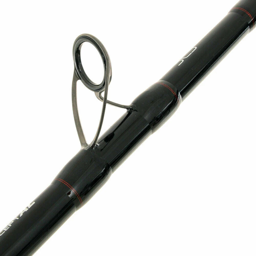 NEW 2019 Penn Prevail II 2PC Overhead Surf Graphite Rod