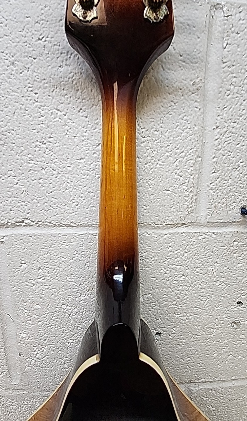 Mint Condition Johnson Oval Hole Mandolin MA100 with Hard Case (SR) eBay