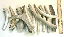 BEST VALUE! 2 POUNDS of Seasoned Deer & Elk - Whole Antler Dog Chews -SM & MED