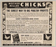 Anuncio impreso 1947 Madre Miller Pollos famosos criaderos de pollos ponedores Madison, Wisconsin