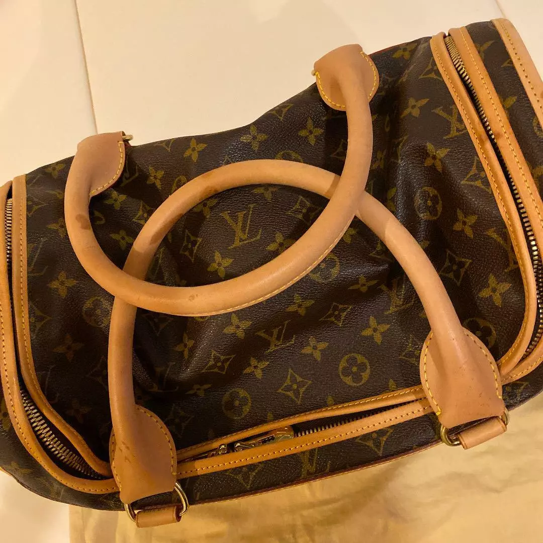 Louis Vuitton Monogram Sac Chien 40 Dog Carrier Pet Travel Bag 163lvs79