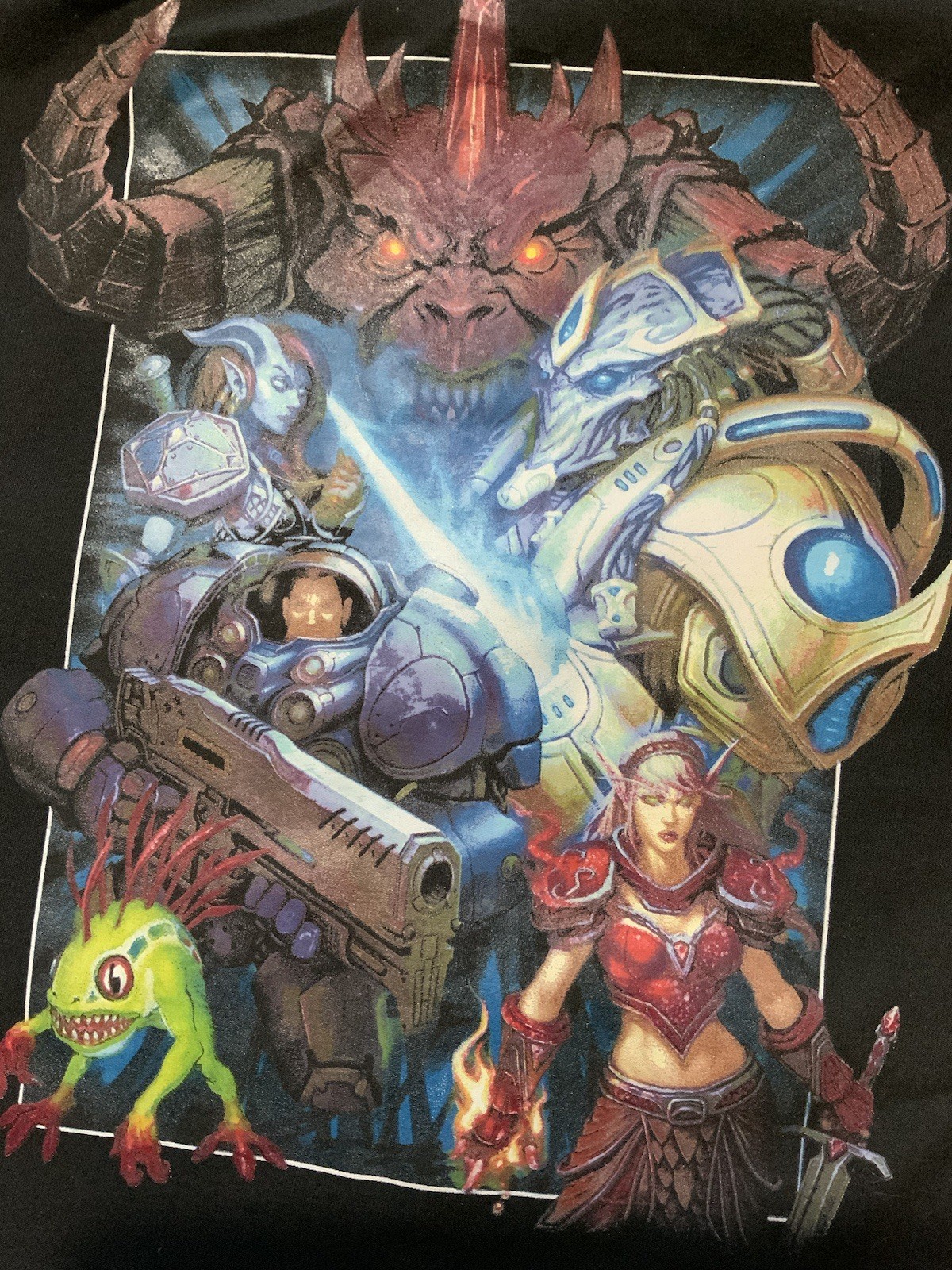 Rare Blizzard Entertainment Development Team Empl… - image 1