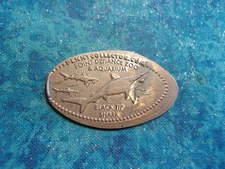 BLACK TIP SHARK POINT DEFIANCE ZOO COPPER Elongated Penny Pressed Smashed 12