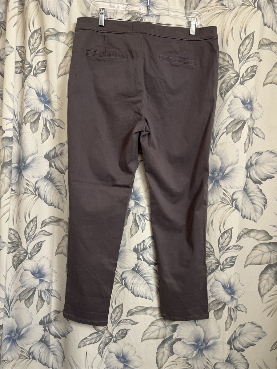 Lila Ryan ZURI SKINNY PANTS Solid Gray Flat Front Women's Size 16 (36\