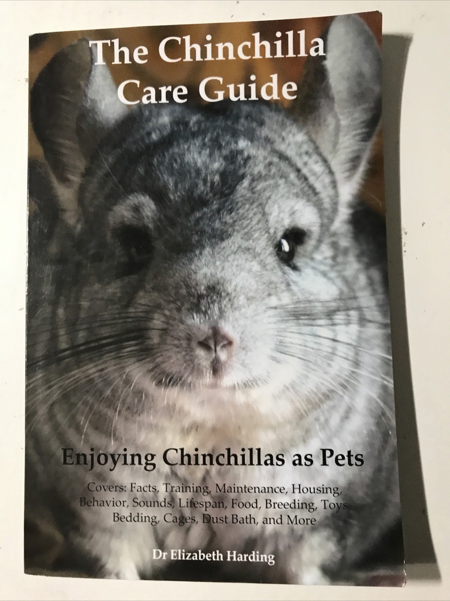 The Chinchilla Care Enjoying Chinchillas As Covers Facts,  Trainin