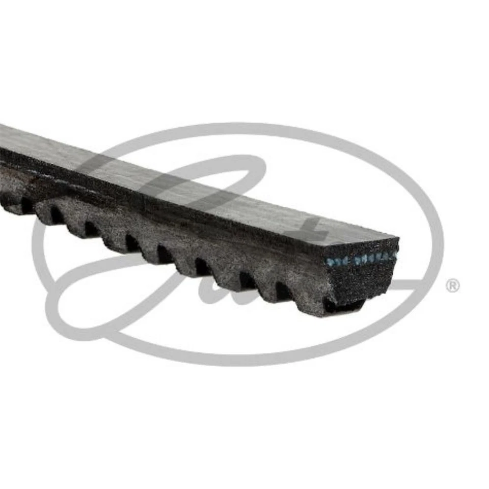 GATES Keilriemen für Fiat Cinquecento Panda Ford Escort III Turnier - Bild 2 von 2