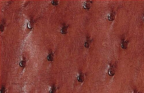  Ostrich Leather Hide  Almond (Maddog) (%100 Natural Genuine Hide)   - Picture 1 of 5