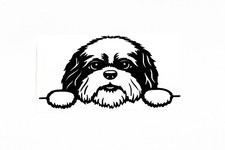 Cute Shih Tzu Dog On Boards Bumper Sticker Window Decal Vinyl