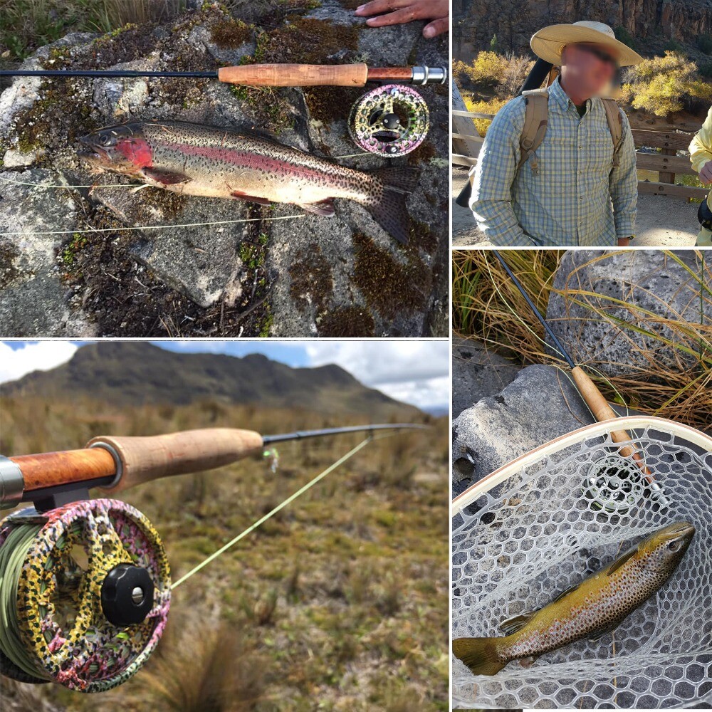 ロッド Maxcatch V-Traveller 8'6\"#4 7sec Maxcatch Traveller Fly Fishing Rod Combo Kit 9FT 5/6/7/8wt 7