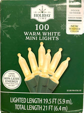 Holiday Time 100 Warm White Mini LED Lights with green Wire Indoor/Outdoor