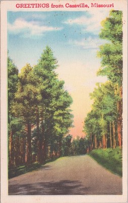 Linen Postcard Cassville MO US Tree Lined Road Greeting Scenic View