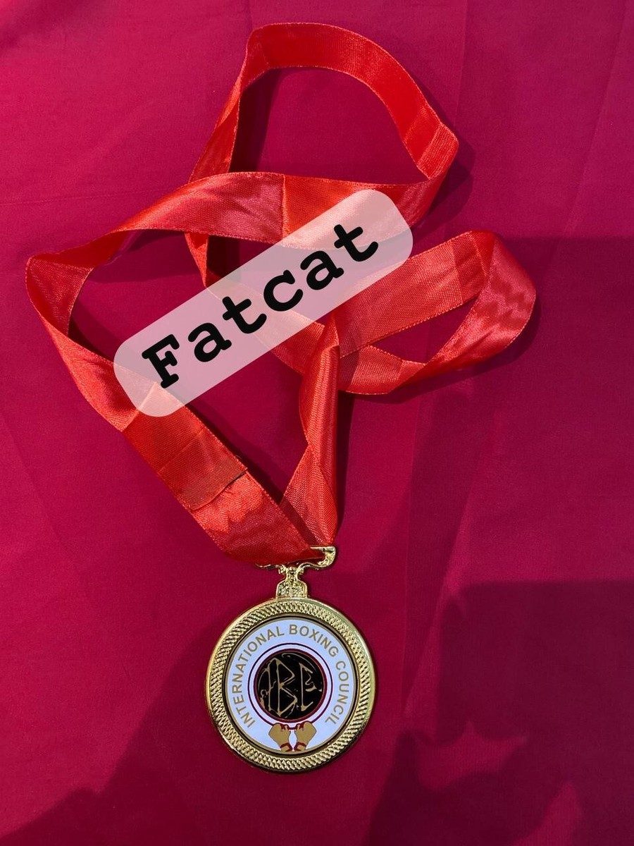 WBC Medal WBO WBF WKA IBC WBC Muaythai Boxing Medal Locket
