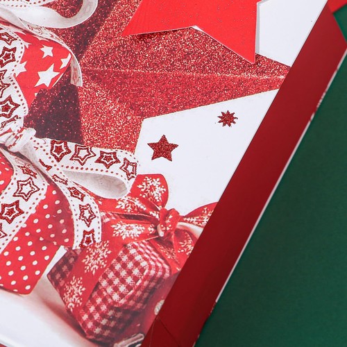 4 Pack Large 13" Christmas Gift Bags with Tissue Paper for Holiday & Birthdays - Picture 4 of 7