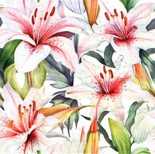  2 Two Paper Lunch Napkins for Decoupage/Mixed Media - Light Pink Lilies lily