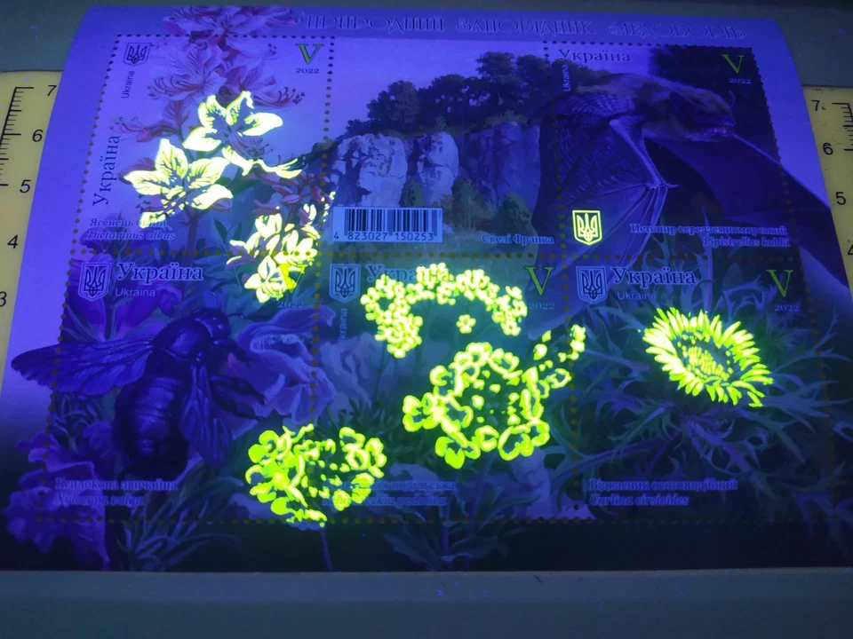 Ukraine 2022 fauna. Nature reserve "Medobory", block MNH + FDC RARITY - Image 2 of 4