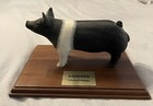 Hampshire Pig Statue — photo 1