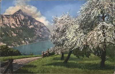 Walenstadt Walensee