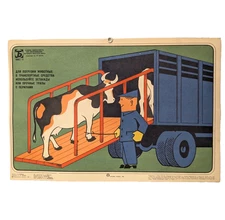 Cow Farm - When Loading Live Animals into Transportation, Use Ramp - ussr Poster