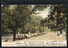 Gibraltar, the Alameda Gardens, Ansichtskarte...
