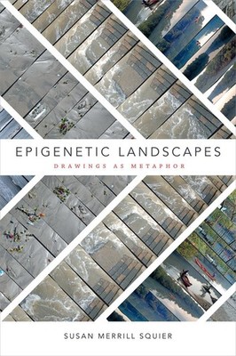 Epigenetic Landscapes: Drawings As Metaphor by Susan Merrill Squier (English) Ha