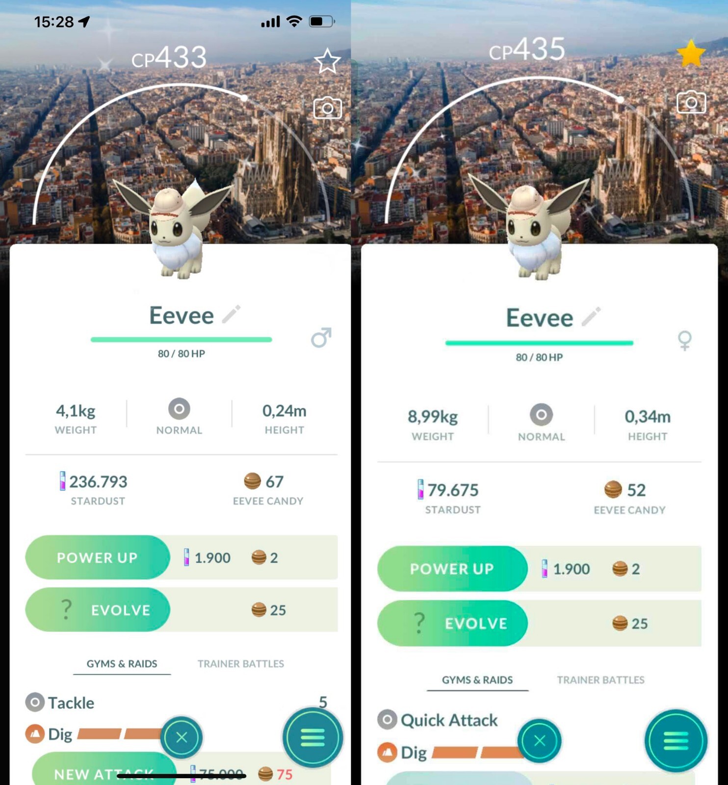 Shiny Eevee wearing an explorer hat Barcelona background Male