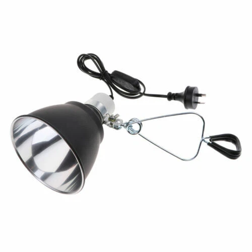 Ceramic Reptile Lamp Holders