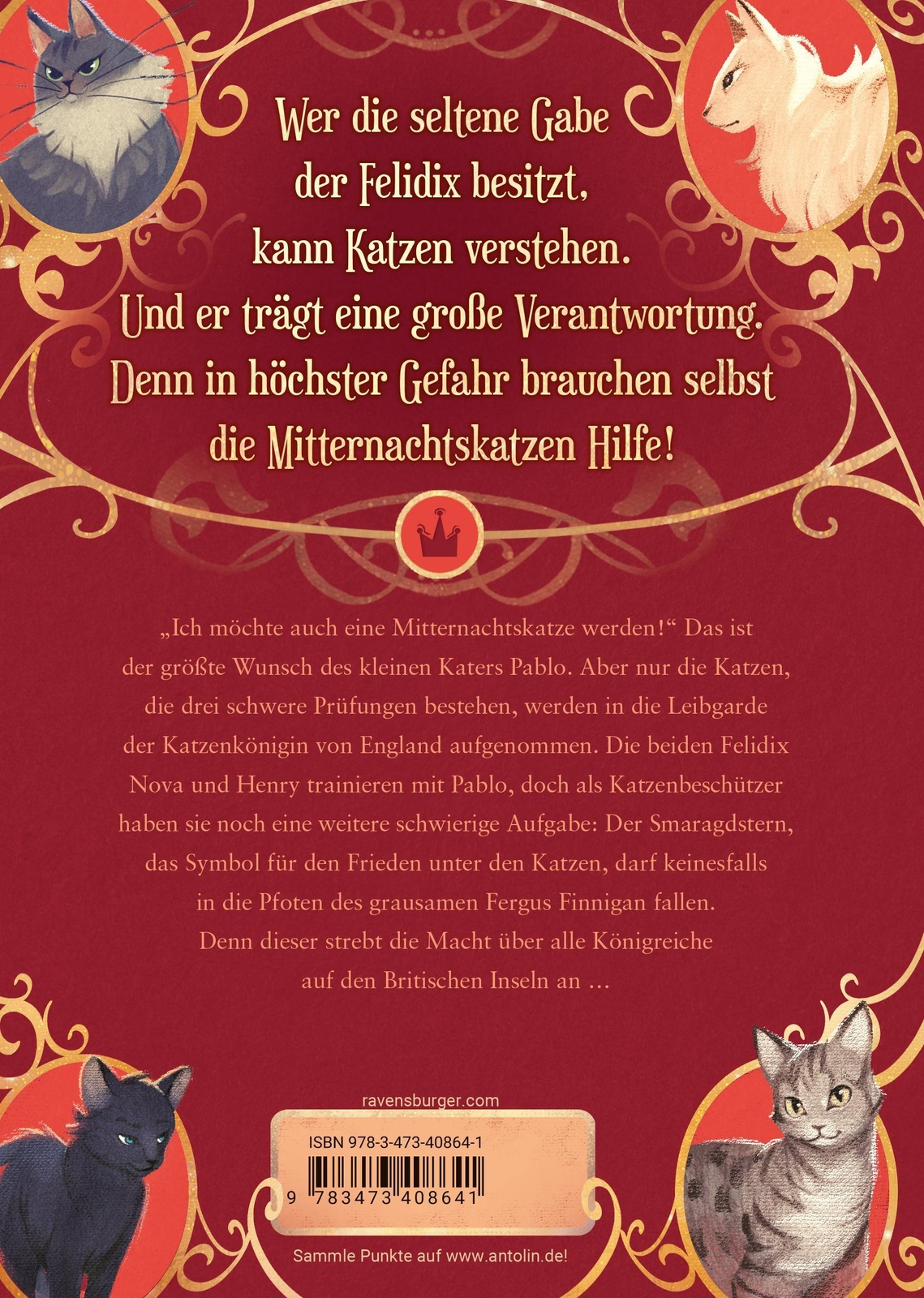 Thumbnail - Mitternachtskatzen, Band 2: Die Hüter Des Smaragdsterns...