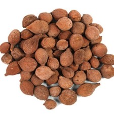 Organic Whole Herbal Bibhitaki Baheda Terminalia Bellirica Seeds 100gm - F/S