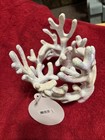 NEW, Bath & Body Works Iridescent ￼Coral 3 Wick Candle Holder ￼ — photo 6