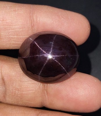 69.5 Carat Natural Purple Red Color Star Garnet 6 Ray Star Oval Shape Cabochon