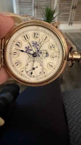 Antique 1891 Waltham Pocket Watch Floral Enamel Hunter Case Hand Painted Dial