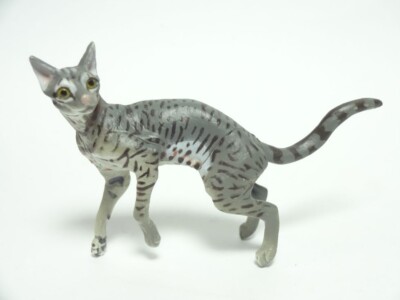 Takara Choco Q Pet 5 #135 Oriental Short Hair Cat (silver)