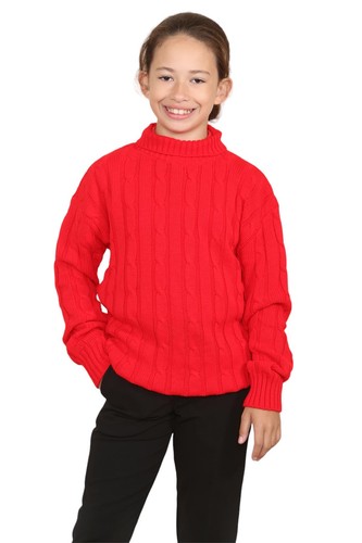 Boys Kids Turtle Polo Neck Jumper Cable Knitted Long Sleeve Casual Warm Sweater - Picture 2 of 83