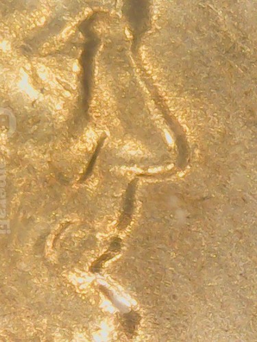 1972 1C RD Lincoln Memorial penny ICG MS67+ Red low pop Blazing Red Beauty t2793 - Picture 6 of 12