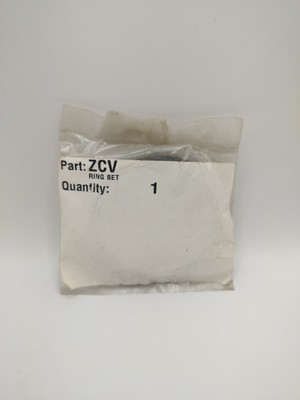 CHAMPION #ZCV RING SET FOR PUMP MODEL CV1