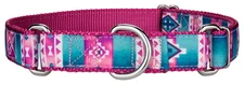 Country Brook Petz® Albuquerque Ribbon Martingale Dog Collar