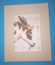 8" x 10" Matted 5" x 7" Close-up Print of Painting of Spotted Burro Donkey
