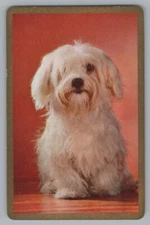 Q) ONE Single Swap Playing Card Artistic Dog Canine Vintage King Of Spades