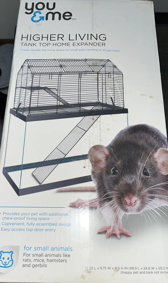 Petco Rats