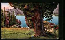 Postcard Bellagio, view over the meadow to Lake Como 1927 