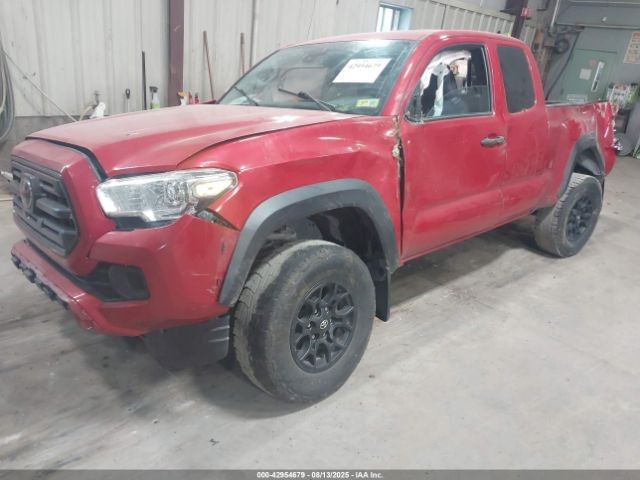 Picture 4