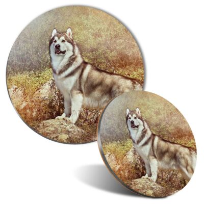 Set Da 4 Sottobicchieri Con Alaskan Malamute E Husky, Quadrati 9,5 Cm, Finitura Lucida Con Retro In Sughero, Regalo Amanti Cani