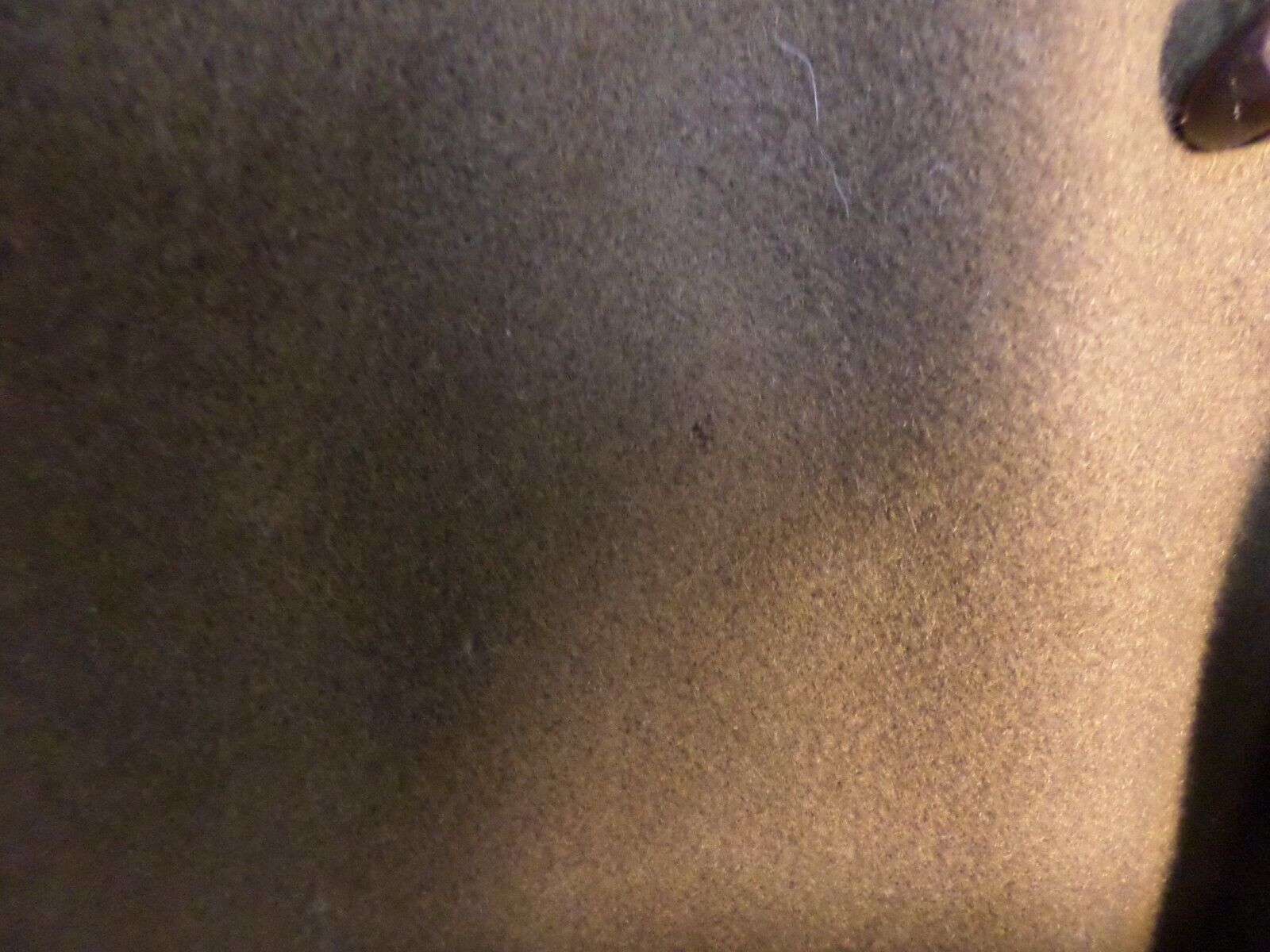 Picture 17 of 17