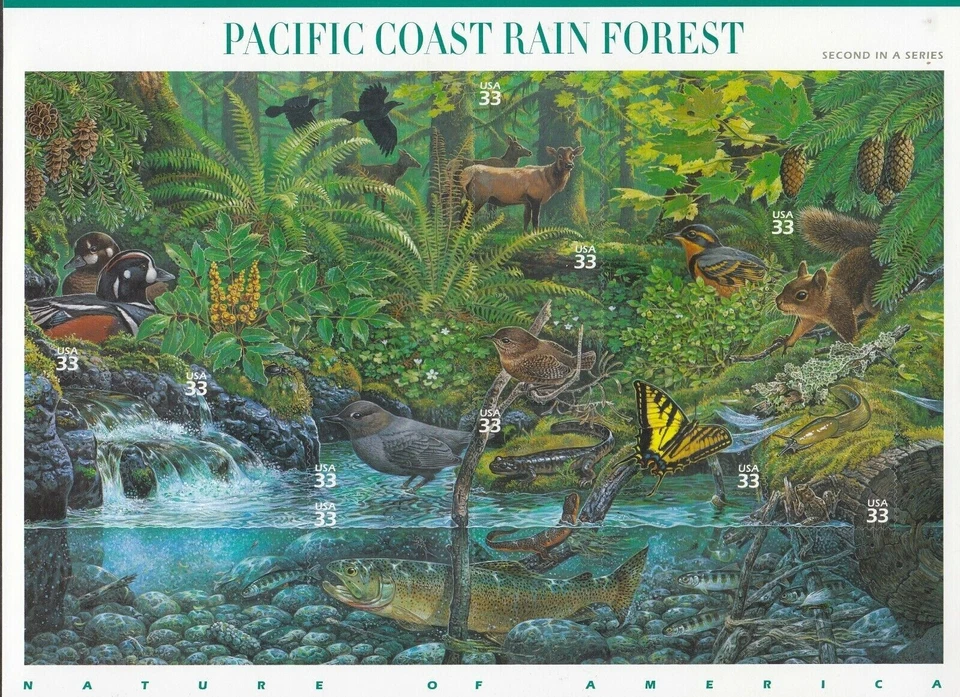 Four x 10 = 40 of Nature of America PACIFIC COAST RAIN FOREST 33¢ US Stamps 3378 - Image 3 of 4