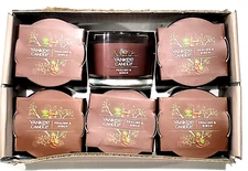 6 Pack Yankee Mini Candles To Try Or Give Praline Birch 1.3 Oz Tea Light